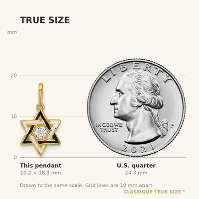 14K Polished Black and White Enameled and CZ Star of David Charm / Pendant