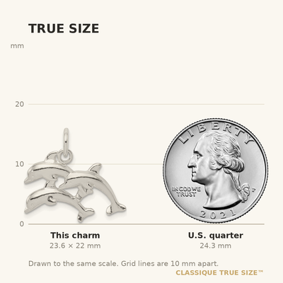 Sterling Silver Dolphins Charm, 22 x 23mm