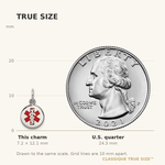 Sterling Silver Rhodium-plated Medical Charm view 5