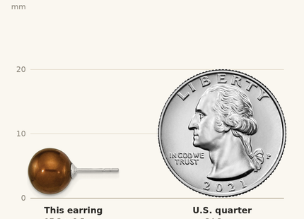 Classique True Size: Sterling Silver Rhodium-plated 9- Brown Round Freshwater Cultured Pearl Post Earrings shown next to a US quarter (24.3 mm)