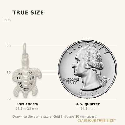 Sterling Silver Turtle Charm, 23 x 16mm