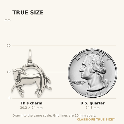 Sterling Silver Antiqued Horse in Horseshoe Charm