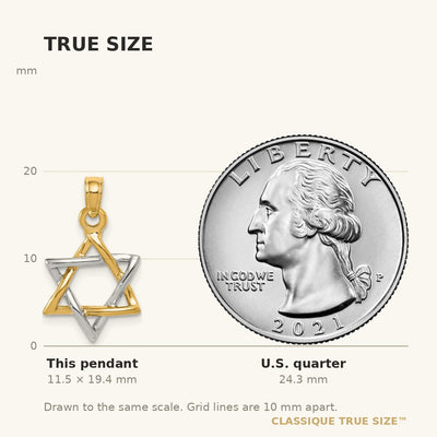 14K Two-tone Polished Star of David Pendant