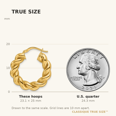 14K Yellow Gold Polished Hollow Twisted Round Hoop Earrings
