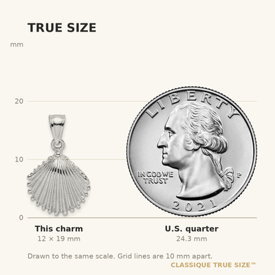 14K White Gold Textured Scallop Shell Charm, 19 x 14.8mm
