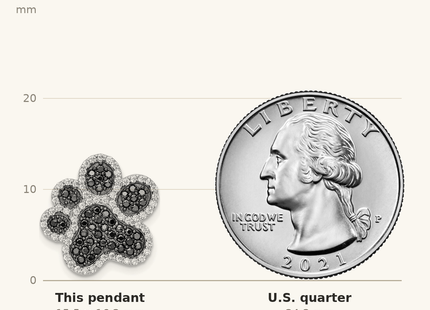 Classique True Size: Sterling Silver Rhodium-plated Black/White CZ Paw Print Pendant shown next to a US quarter (24.3 mm)