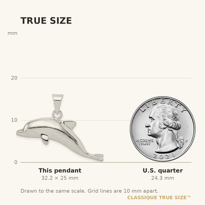 Sterling Silver Dolphin Pendant, 25 x 38mm
