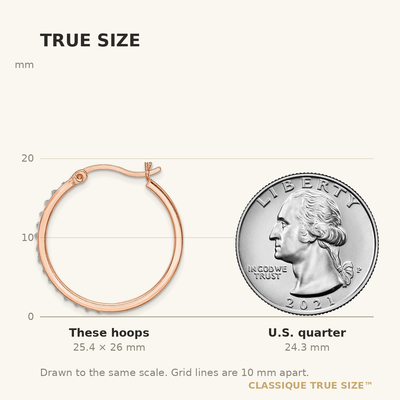 Diamond Fascination Diamond Mystique Sterling Silver Rose Gold-plated Diamond Round Hoop Earrings