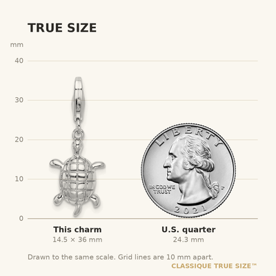 Amore La Vita Sterling Silver Rhodium-plated Polished Turtle Charm with Fancy Lobster Clasp