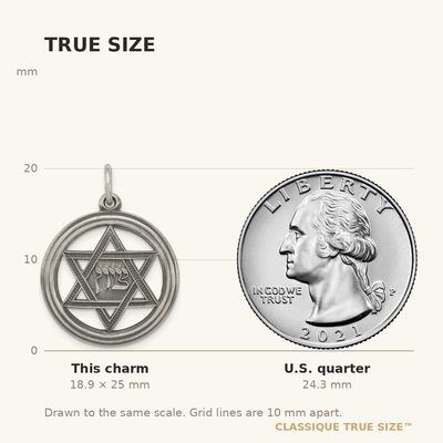 Sterling Silver Antiqued Star of David Disc Charm