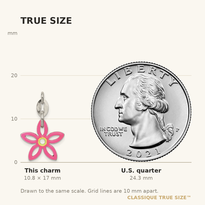 Sterling Silver Enameled Charm