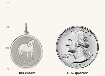 Classique True Size: Sterling Silver Rhodium-plated Beagle Disc Charm shown next to a US quarter (24.3 mm)