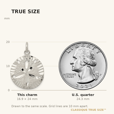Sterling Silver Sand Dollar Charm, 24 x 20mm