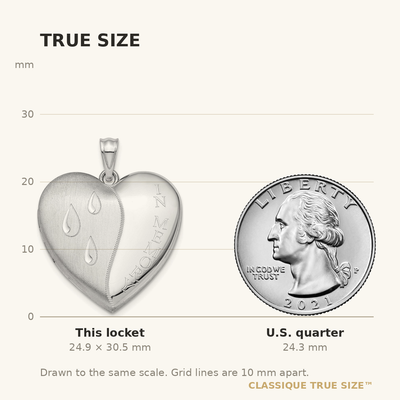 Sterling Silver Rhodium-plated In Memory Ash Holder Heart Locket