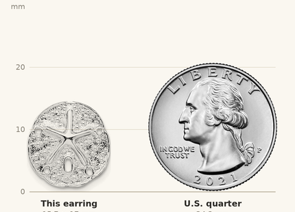 Classique True Size: De-Ani Sterling Silver Rhodium-Plated Small Sand Dollar with Starfish Post Earrings shown next to a US quarter (24.3 mm)