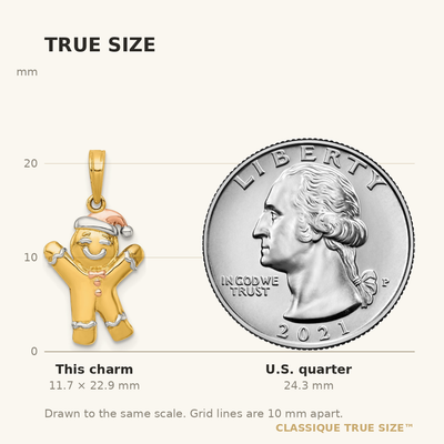 14K with White Rhodium and Rose-plating Polished Gingerbread Man Charm