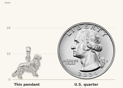 Classique True Size: De-Ani Sterling Silver Rhodium-Plated 3D Cavalier King Charles Spaniel Pendant shown next to a US quarter (24.3 mm)
