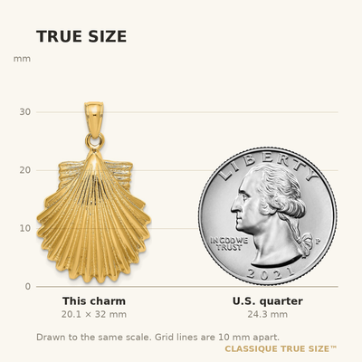 14K Polished Scallop Shell Charm, 32 x 18.88mm
