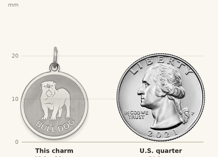 Classique True Size: Sterling Silver Rhodium-plated Bull Dog Disc Charm shown next to a US quarter (24.3 mm)