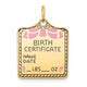14K Enameled Pink Engravable Birth Certificate Charm, 25 x 18mm