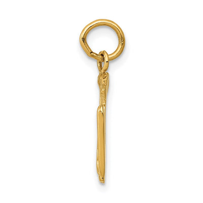 14K RN Registered Nurse Charm