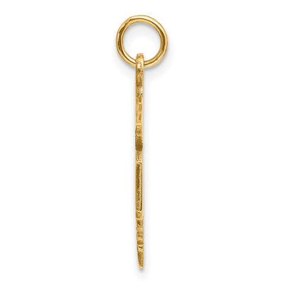 14K Large M.D. Caduceus Charm