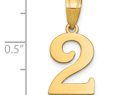 14k Polished Number 2 Pendant, 17.06 x 10.79mm