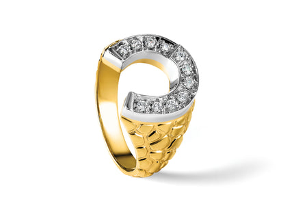 14k Two-tone IBGoodman Men's Horseshoe 1/5 carat Diamond Complete Ring