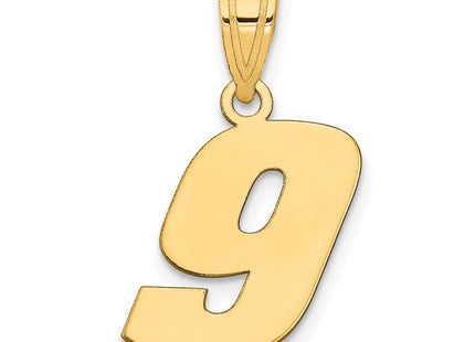 14k Yellow Gold Pendants Style BN09 - Classique Jewelry Inc.