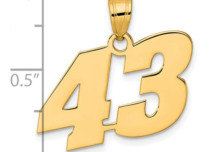 14k Yellow Gold Pendants Style BN43 - Classique Jewelry Inc.