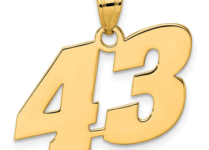 14k Yellow Gold Pendants Style BN43 - Classique Jewelry Inc.