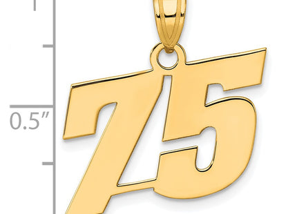 14k Yellow Gold Pendants Style BN75 - Classique Jewelry Inc.