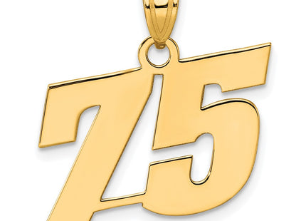 14k Yellow Gold Pendants Style BN75 - Classique Jewelry Inc.