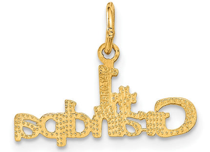 14K gold charm, another view
