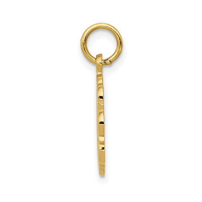 14K RN Registered Nurse Disc Charm
