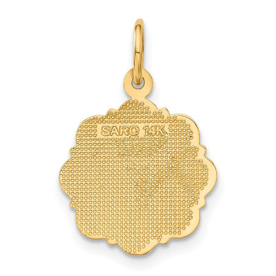 14K RN Registered Nurse Disc Charm