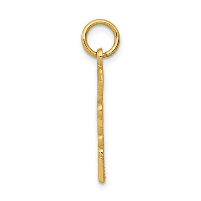 14K Registered Nurse Practitioner Charm