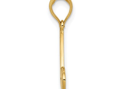 14k Yellow Gold Pendants Style C2270 - Classique Jewelry Inc.