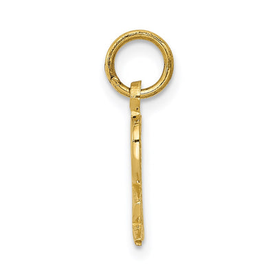 14K Prescription Symbol RX Charm