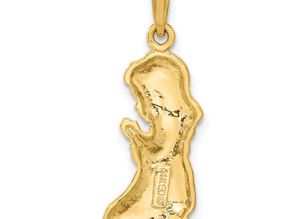 14k Yellow Gold Pendants Style C2818 - Classique Jewelry Inc.