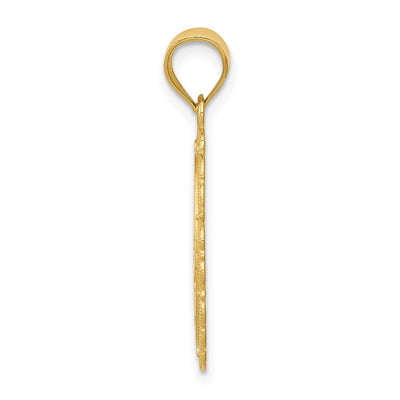 14K Solid Satin Polished Pisces Zodiac Oval Pendant