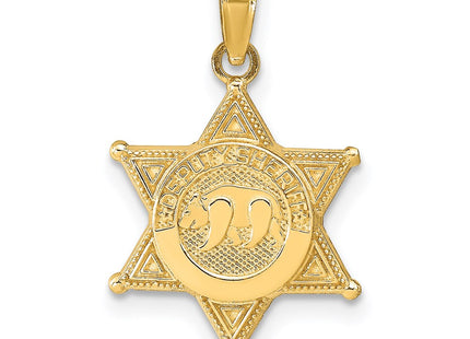 14k Yellow Gold Pendants Style C3098 - Classique Jewelry Inc.