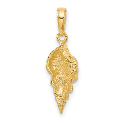 14K Conch Shell Pendant, 24 x 9mm