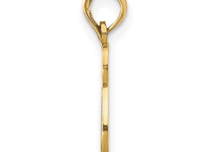 14k Yellow Gold Pendants Style C3991 - Classique Jewelry Inc.