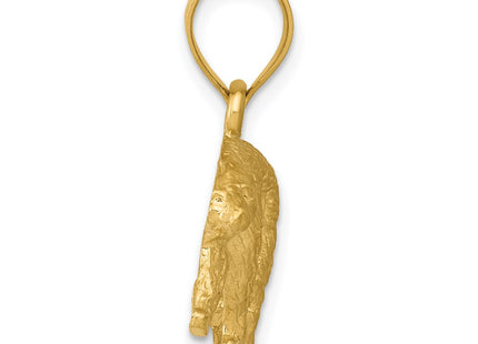 14k Yellow Gold Pendants Style C4061 - Classique Jewelry Inc.