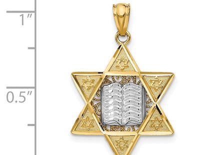 14k Two-tone Star of David Pendant (Style C4531)