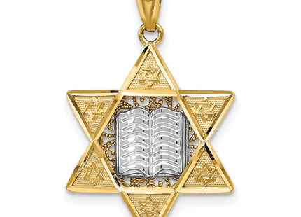 14k Two-tone Star of David Pendant (Style C4531)