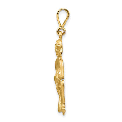 14K Satin Diamond-cut Aquarius Zodiac Charm, 40 x 17mm