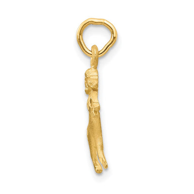 14K Satin Diamond-cut Aries Zodiac Charm, 20 x 10mm