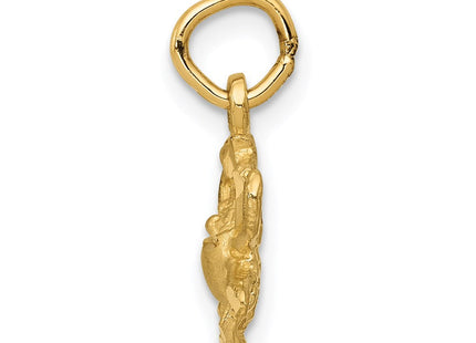 14k Satin Diamond-cut Cancer Zodiac Charm (Style C479)